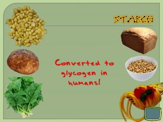 Converted to
 glycogen in
   humans!
 