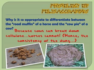 Why is it so appropriate to differentiate between
the “road muffin” of a horse and the “cow pie” of a
cow?
     Because cows can break down
cellulose…horses cannot! (Hence, the
      consistency of the dung…)
 