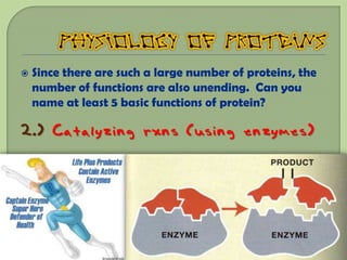    Since there are such a large number of proteins, the
    number of functions are also unending. Can you
    name at least 5 basic functions of protein?

2.) Catalyzing rxns (using enzymes)
 