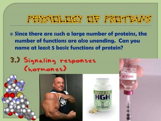   Since there are such a large number of proteins, the
    number of functions are also unending. Can you
    name at least 5 basic functions of protein?

3.) Signaling responses
    (hormones)
 