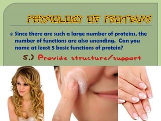    Since there are such a large number of proteins, the
    number of functions are also unending. Can you
    name at least 5 basic functions of protein?
       5.) Provide structure/support
 