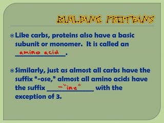  Likecarbs, proteins also have a basic
 subunit or monomer. It is called an
  amino acid
 _______________.

 Similarly,just as almost all carbs have the
 suffix “-ose,” almost all amino acids have
 the suffix ______________ with the
                -“ine”
 exception of 3.
 