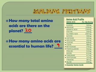  How many total amino
 acids are there on the
          20
 planet? ____

 How many amino acids are
                           9
 essential to human life? ____
 