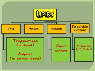LIPIDS
                                  Fat-soluble
Fats       Waxes   Steroids        Vitamins


   Triglycerides
    (in food)            Chol-       Vitamins
                                    A, D, E & K
                        esterol
     Adipose
 (in human body)
 