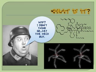 WTF?
 I don’t
  think
 so...get
the heck
   out.
 