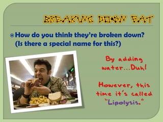  How  do you think they’re broken down?
 (Is there a special name for this?)

                            By adding
                           water…Duh!

                          However, this
                         time it’s called
                           “Lipolysis.”
 