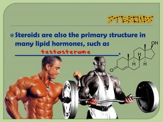  Steroids
         are also the primary structure in
 many lipid hormones, such as
         testosterone
 _______________________________.
 