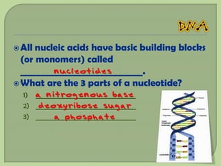  All nucleic acids have basic building blocks
  (or monomers) called
  ___________________________.
           nucleotides
 What are the 3 parts of a nucleotide?
   1) a nitrogenous base
      _____________________________
       deoxyribose sugar
   2) _____________________________
           a phosphate
   3) _____________________________
 