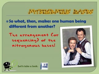  Sowhat, then, makes one human being
 different from another?
 The arrangement (or
  sequencing) of the
  nitrogenous bases!



       Let’s take a look.
 