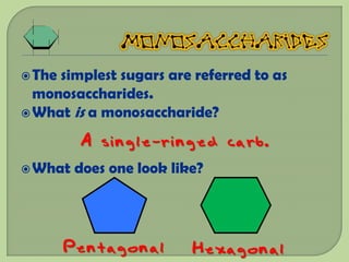  Thesimplest sugars are referred to as
  monosaccharides.
 What is a monosaccharide?

         A single-ringed carb.
 What   does one look like?




        Pentagonal        Hexagonal
 