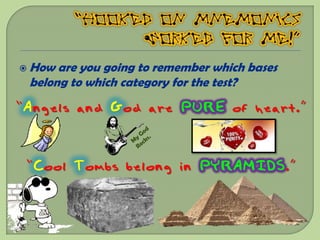  How are you going to remember which bases
 belong to which category for the test?
“Angels and God are PURE of heart.”



 “Cool Tombs belong in PYRAMIDS.”
 