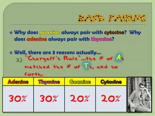    Why does        always pair with            ? Why
    does        always pair with       ?

   Well, there are 3 reasons actually…
    3.) “Chargaff’s Rule”...the # of       As
       matched the # of Ts, and so
       forth.



30%            30%     20%         20%
 