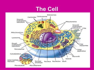 The Cell
 