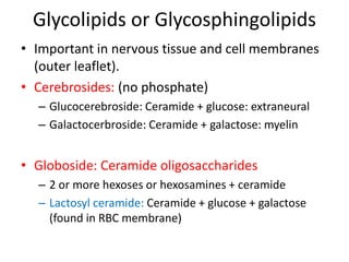 Globoside Biochemistry lecture 17 introduction to lipid metabolism with clinical ...