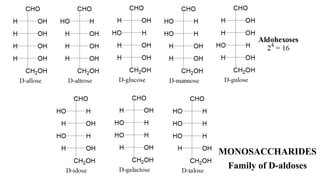 Biochemistry lecture notes carbohydrates | PDF