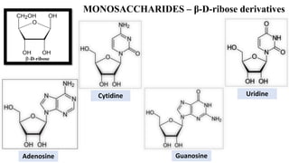 MONOSACCHARIDES – β-D-ribose derivatives
Adenosine
Cytidine
Guanosine
Uridine
 