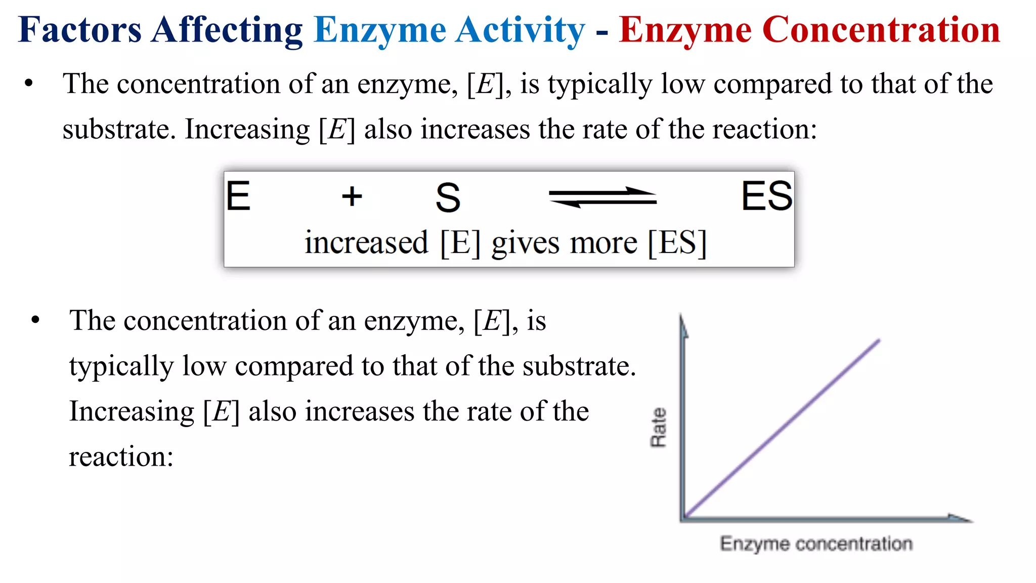 Factors Affecting Enzyme Activity - Enzyme Concentration
• The concentration of an enzyme, [E], is typically low compared to that of the
substrate. Increasing [E] also increases the rate of the reaction:
• The concentration of an enzyme, [E], is
typically low compared to that of the substrate.
Increasing [E] also increases the rate of the
reaction:
 