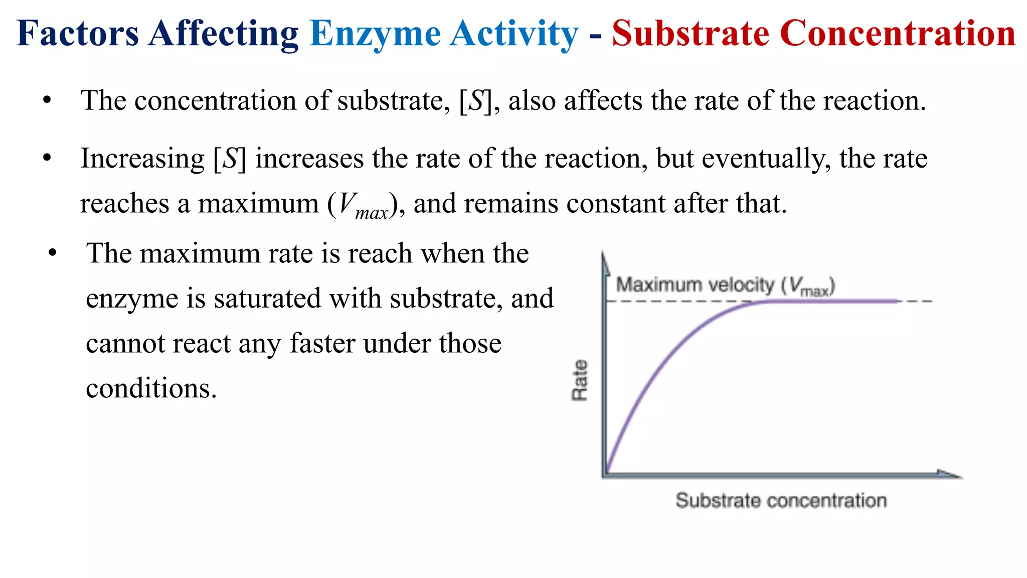 Factors Affecting Enzyme Activity - Substrate Concentration
• The maximum rate is reach when the
enzyme is saturated with substrate, and
cannot react any faster under those
conditions.
• The concentration of substrate, [S], also affects the rate of the reaction.
• Increasing [S] increases the rate of the reaction, but eventually, the rate
reaches a maximum (Vmax), and remains constant after that.
 