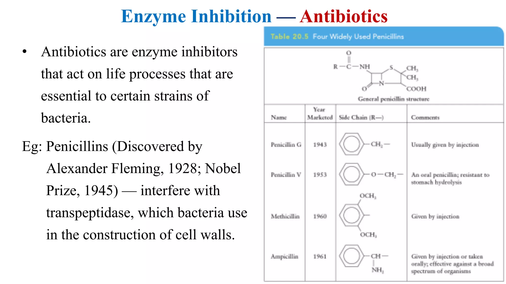 Enzyme Inhibition — Antibiotics
• Antibiotics are enzyme inhibitors
that act on life processes that are
essential to certain strains of
bacteria.
Eg: Penicillins (Discovered by
Alexander Fleming, 1928; Nobel
Prize, 1945) — interfere with
transpeptidase, which bacteria use
in the construction of cell walls.
 