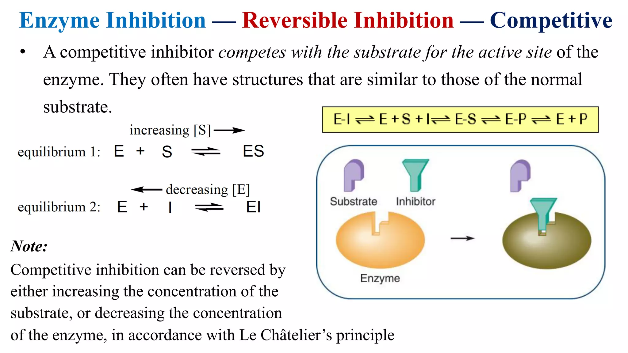 Enzyme Inhibition — Reversible Inhibition — Competitive
• A competitive inhibitor competes with the substrate for the active site of the
enzyme. They often have structures that are similar to those of the normal
substrate.
Note:
Competitive inhibition can be reversed by
either increasing the concentration of the
substrate, or decreasing the concentration
of the enzyme, in accordance with Le Châtelier’s principle
 