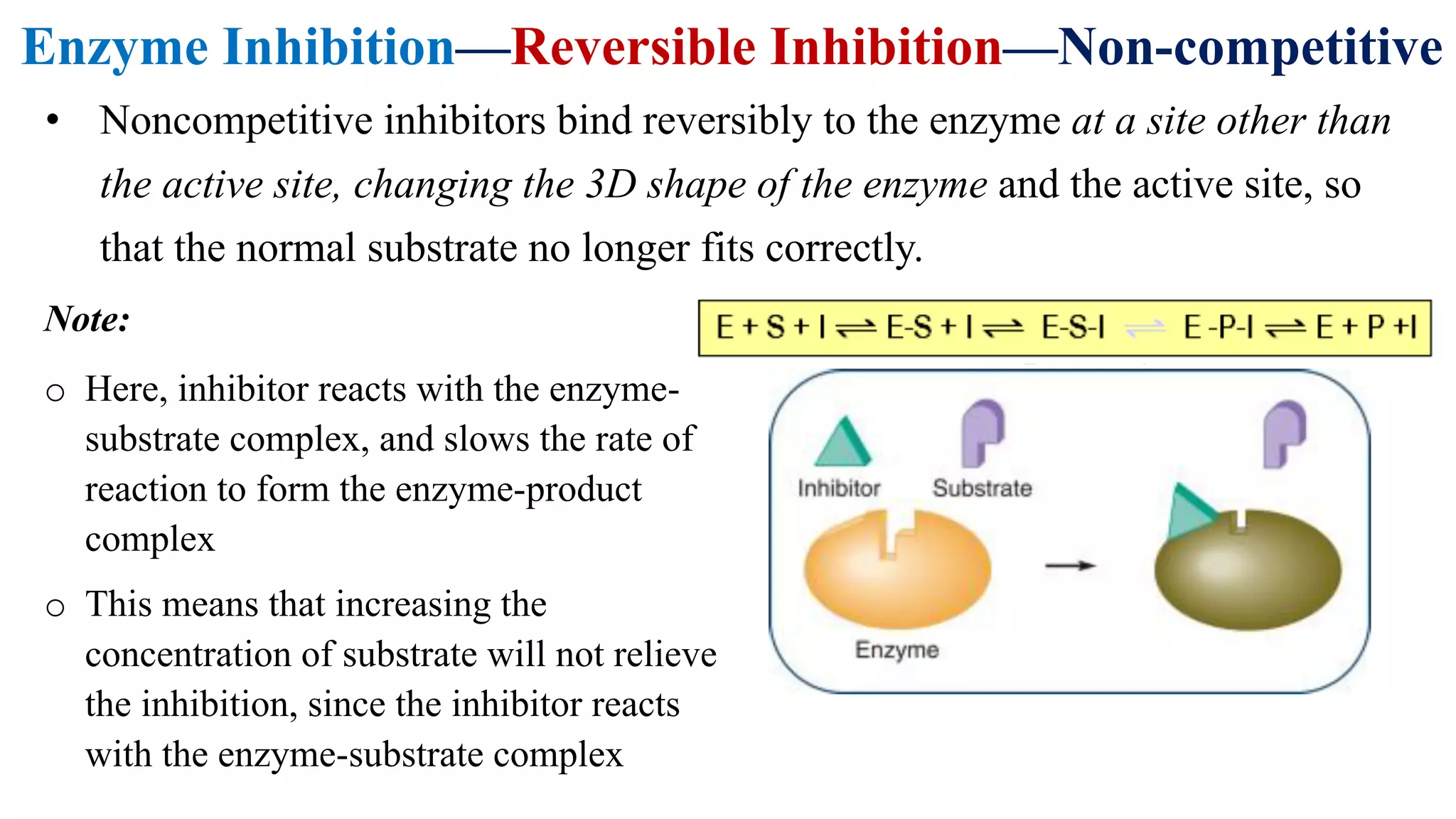 Enzyme Inhibition—Reversible Inhibition—Non-competitive
• Noncompetitive inhibitors bind reversibly to the enzyme at a site other than
the active site, changing the 3D shape of the enzyme and the active site, so
that the normal substrate no longer fits correctly.
Note:
o Here, inhibitor reacts with the enzyme-
substrate complex, and slows the rate of
reaction to form the enzyme-product
complex
o This means that increasing the
concentration of substrate will not relieve
the inhibition, since the inhibitor reacts
with the enzyme-substrate complex
 