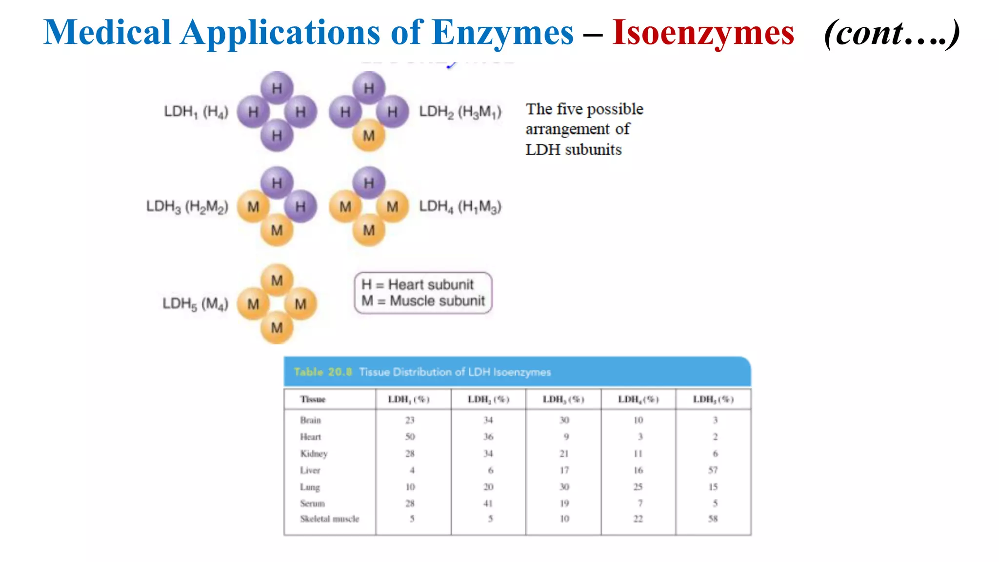 Medical Applications of Enzymes – Isoenzymes (cont….)
 
