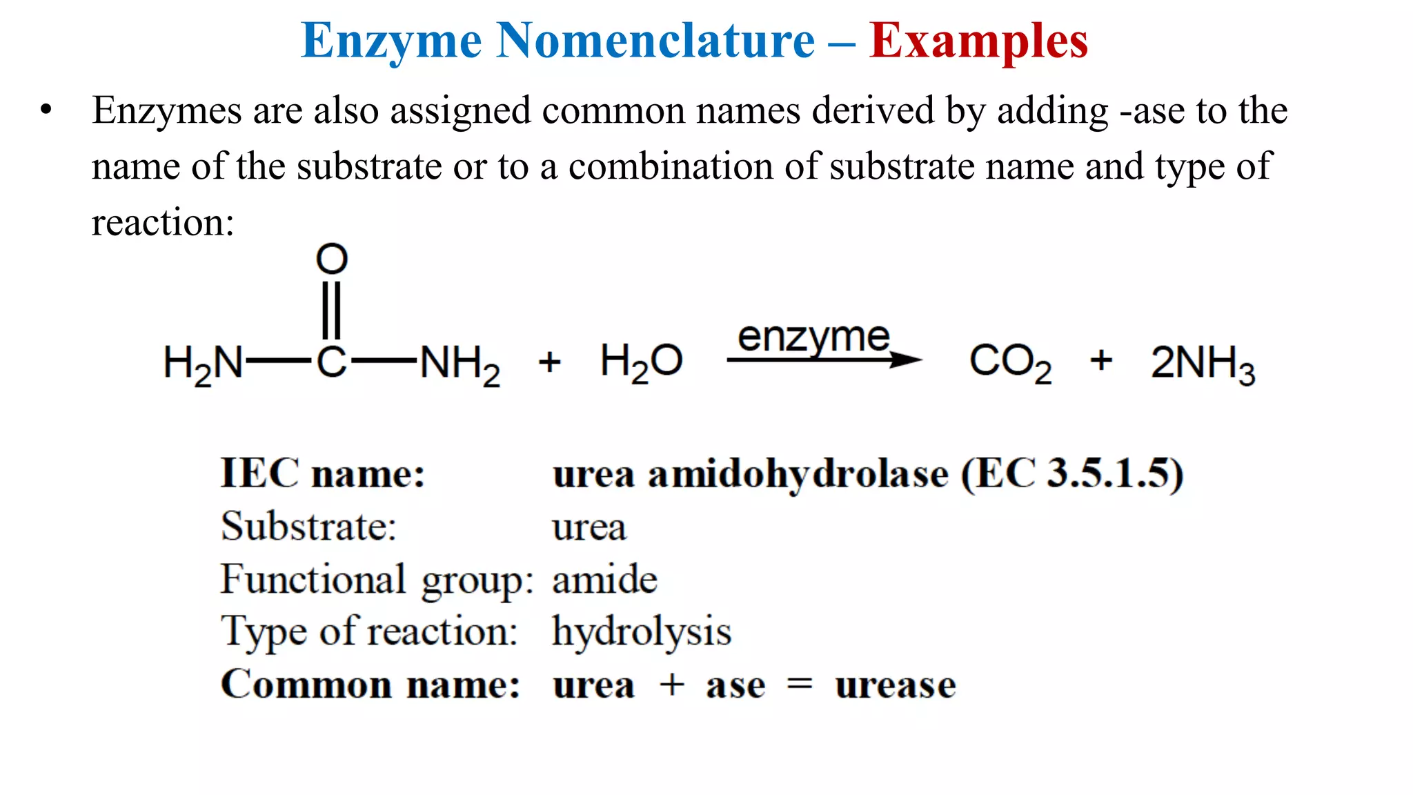 Enzyme Nomenclature – Examples
• Enzymes are also assigned common names derived by adding -ase to the
name of the substrate or to a combination of substrate name and type of
reaction:
 