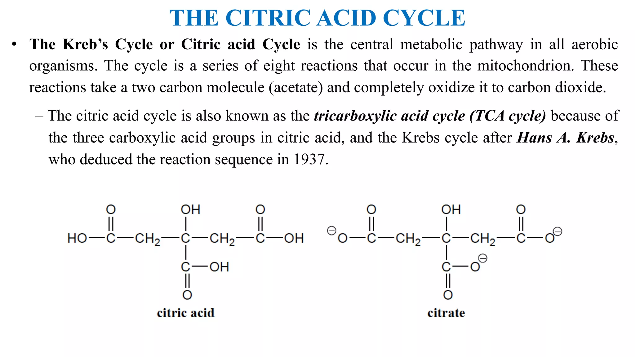 THE CITRIC ACID CYCLE
• The Kreb’s Cycle or Citric acid Cycle is the central metabolic pathway in all aerobic
organisms. The cycle is a series of eight reactions that occur in the mitochondrion. These
reactions take a two carbon molecule (acetate) and completely oxidize it to carbon dioxide.
– The citric acid cycle is also known as the tricarboxylic acid cycle (TCA cycle) because of
the three carboxylic acid groups in citric acid, and the Krebs cycle after Hans A. Krebs,
who deduced the reaction sequence in 1937.
 