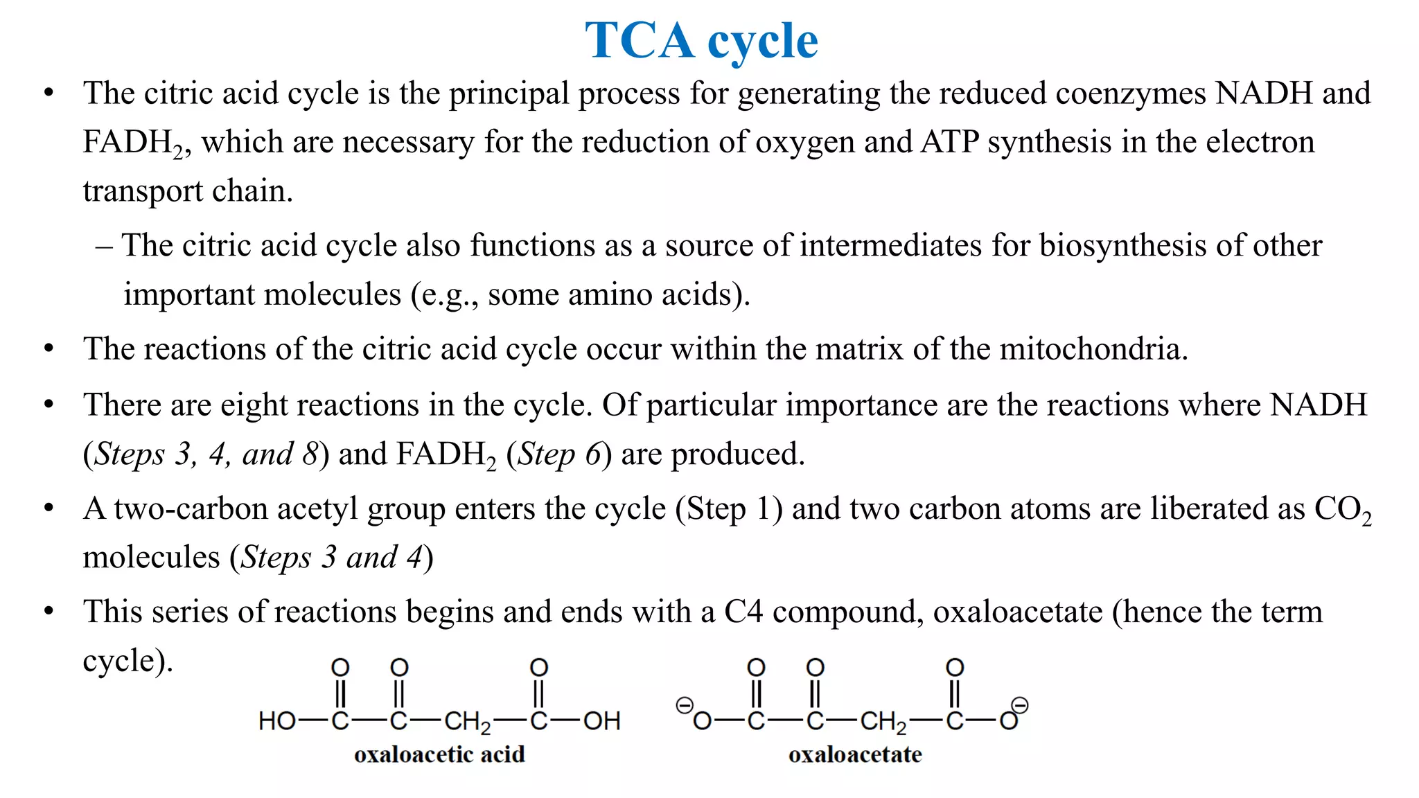 TCA cycle
• The citric acid cycle is the principal process for generating the reduced coenzymes NADH and
FADH2, which are necessary for the reduction of oxygen and ATP synthesis in the electron
transport chain.
– The citric acid cycle also functions as a source of intermediates for biosynthesis of other
important molecules (e.g., some amino acids).
• The reactions of the citric acid cycle occur within the matrix of the mitochondria.
• There are eight reactions in the cycle. Of particular importance are the reactions where NADH
(Steps 3, 4, and 8) and FADH2 (Step 6) are produced.
• A two-carbon acetyl group enters the cycle (Step 1) and two carbon atoms are liberated as CO2
molecules (Steps 3 and 4)
• This series of reactions begins and ends with a C4 compound, oxaloacetate (hence the term
cycle).
 