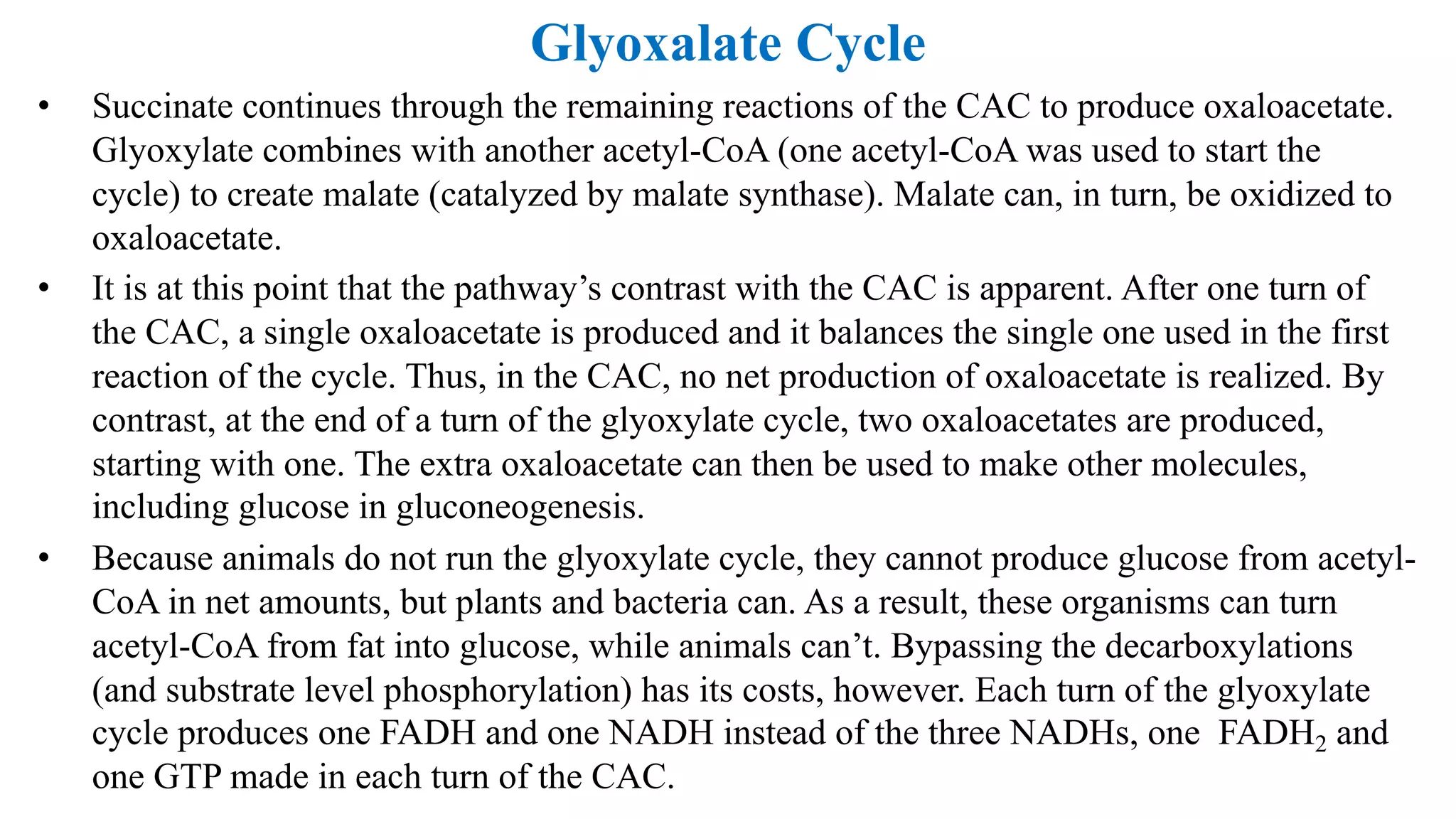 Glyoxalate Cycle
• Succinate continues through the remaining reactions of the CAC to produce oxaloacetate.
Glyoxylate combines with another acetyl-CoA (one acetyl-CoA was used to start the
cycle) to create malate (catalyzed by malate synthase). Malate can, in turn, be oxidized to
oxaloacetate.
• It is at this point that the pathway’s contrast with the CAC is apparent. After one turn of
the CAC, a single oxaloacetate is produced and it balances the single one used in the first
reaction of the cycle. Thus, in the CAC, no net production of oxaloacetate is realized. By
contrast, at the end of a turn of the glyoxylate cycle, two oxaloacetates are produced,
starting with one. The extra oxaloacetate can then be used to make other molecules,
including glucose in gluconeogenesis.
• Because animals do not run the glyoxylate cycle, they cannot produce glucose from acetyl-
CoA in net amounts, but plants and bacteria can. As a result, these organisms can turn
acetyl-CoA from fat into glucose, while animals can’t. Bypassing the decarboxylations
(and substrate level phosphorylation) has its costs, however. Each turn of the glyoxylate
cycle produces one FADH and one NADH instead of the three NADHs, one FADH2 and
one GTP made in each turn of the CAC.
 