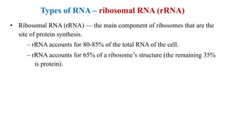 Biochemistry lecture notes nucleic acids | PDF