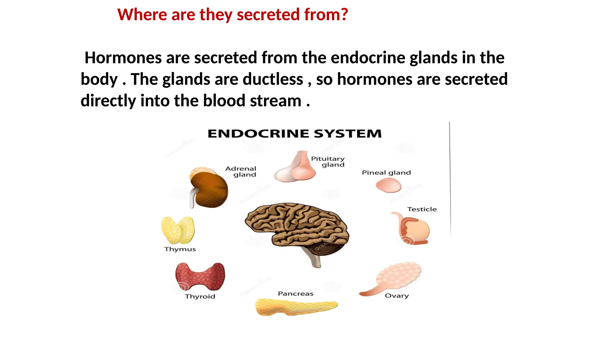 Where are they secreted from?
Hormones are secreted from the endocrine glands in the
body . The glands are ductless , so hormones are secreted
directly into the blood stream .
 