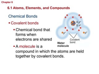 Chapter 6    Chemistry in Biology

    6.1 Atoms, Elements, and Compounds

     Chemical Bonds
      Covalent bonds
             Chemical bond that
              forms when
              electrons are shared
             A molecule is a
              compound in which the atoms are held
              together by covalent bonds.
 