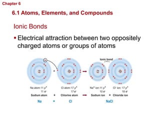 Chapter 6   Chemistry in Biology

    6.1 Atoms, Elements, and Compounds

     Ionic Bonds
      Electrical attraction between two oppositely
       charged atoms or groups of atoms
 