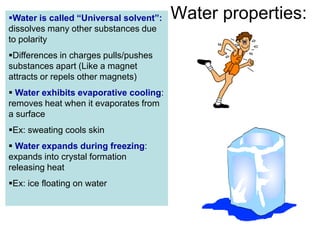 Water is called “Universal solvent”:   Water properties:
dissolves many other substances due
to polarity
Differences in charges pulls/pushes
substances apart (Like a magnet
attracts or repels other magnets)
 Water exhibits evaporative cooling:
removes heat when it evaporates from
a surface
Ex: sweating cools skin
 Water expands during freezing:
expands into crystal formation
releasing heat
Ex: ice floating on water
 