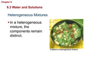 Chapter 6   Chemistry in Biology

    6.3 Water and Solutions

     Heterogeneous Mixtures

      In a heterogeneous
       mixture, the
       components remain
       distinct.


                                   A salad is a heterogeneous mixture.
 