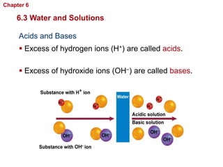 Chapter 6   Chemistry in Biology

    6.3 Water and Solutions

     Acids and Bases
      Excess of hydrogen ions (H+) are called acids.

      Excess of hydroxide ions (OH–) are called bases.
 