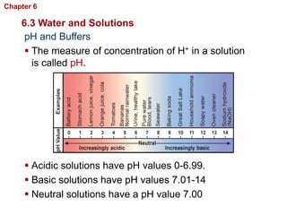 Chapter 6   Chemistry in Biology

    6.3 Water and Solutions
     pH and Buffers
      The measure of concentration of H+ in a solution
       is called pH.




      Acidic solutions have pH values 0-6.99.
      Basic solutions have pH values 7.01-14
      Neutral solutions have a pH value 7.00
 