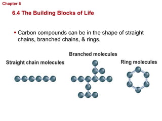 Chapter 6   Chemistry in Biology

    6.4 The Building Blocks of Life


      Carbon compounds can be in the shape of straight
       chains, branched chains, & rings.
 