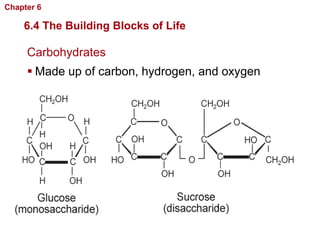 Chapter 6   Chemistry in Biology

    6.4 The Building Blocks of Life

     Carbohydrates
      Made up of carbon, hydrogen, and oxygen
 