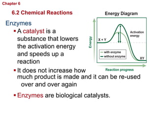 Chapter 6   Chemistry in Biology

    6.2 Chemical Reactions
 Enzymes
    A catalyst is a
     substance that lowers
     the activation energy
     and speeds up a
     reaction
    It does not increase how
     much product is made and it can be re-used
       over and over again
     .
    Enzymes are biological catalysts.
 