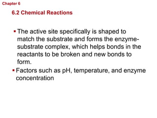 Chapter 6   Chemistry in Biology

    6.2 Chemical Reactions


     The active site specifically is shaped to
      match the substrate and forms the enzyme-
      substrate complex, which helps bonds in the
      reactants to be broken and new bonds to
      form.
     Factors such as pH, temperature, and enzyme
      concentration
 