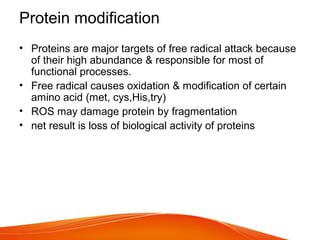 Protein modification
• Proteins are major targets of free radical attack because
of their high abundance & responsible for most of
functional processes.
• Free radical causes oxidation & modification of certain
amino acid (met, cys,His,try)
• ROS may damage protein by fragmentation
• net result is loss of biological activity of proteins
 