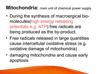Mitochondria: main unit of chemical power supply
• During the synthesis of macroergical bio-
molecules(high energy releasi...