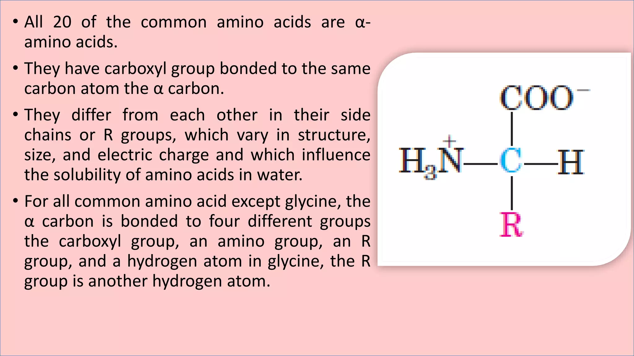 Biochemistry of amino acids | PDF