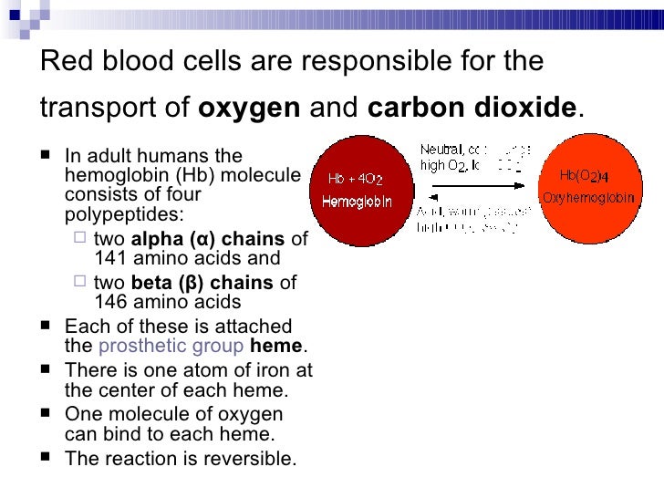 Biochemistry of blood; respiratory function of erythrocytes