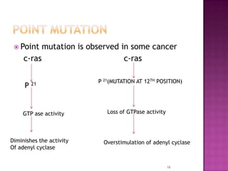 Point Mutation Ras Biochemistry of cancer | PPTX