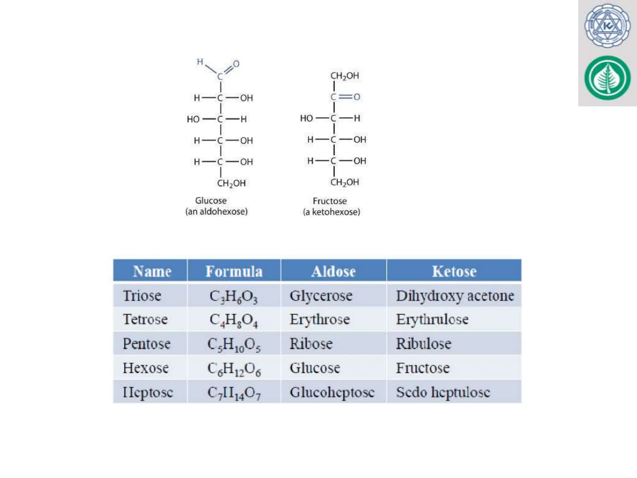 Biochemistry of Carbohydrates for MBBS, BDS, Lab Med 2024.pptx