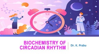 BIOCHEMISTRY OF
CIRCADIAN RHYTHM
Dr. K. Prabu
 
