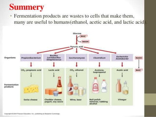 Biochemistry of fermented foods | PPTX